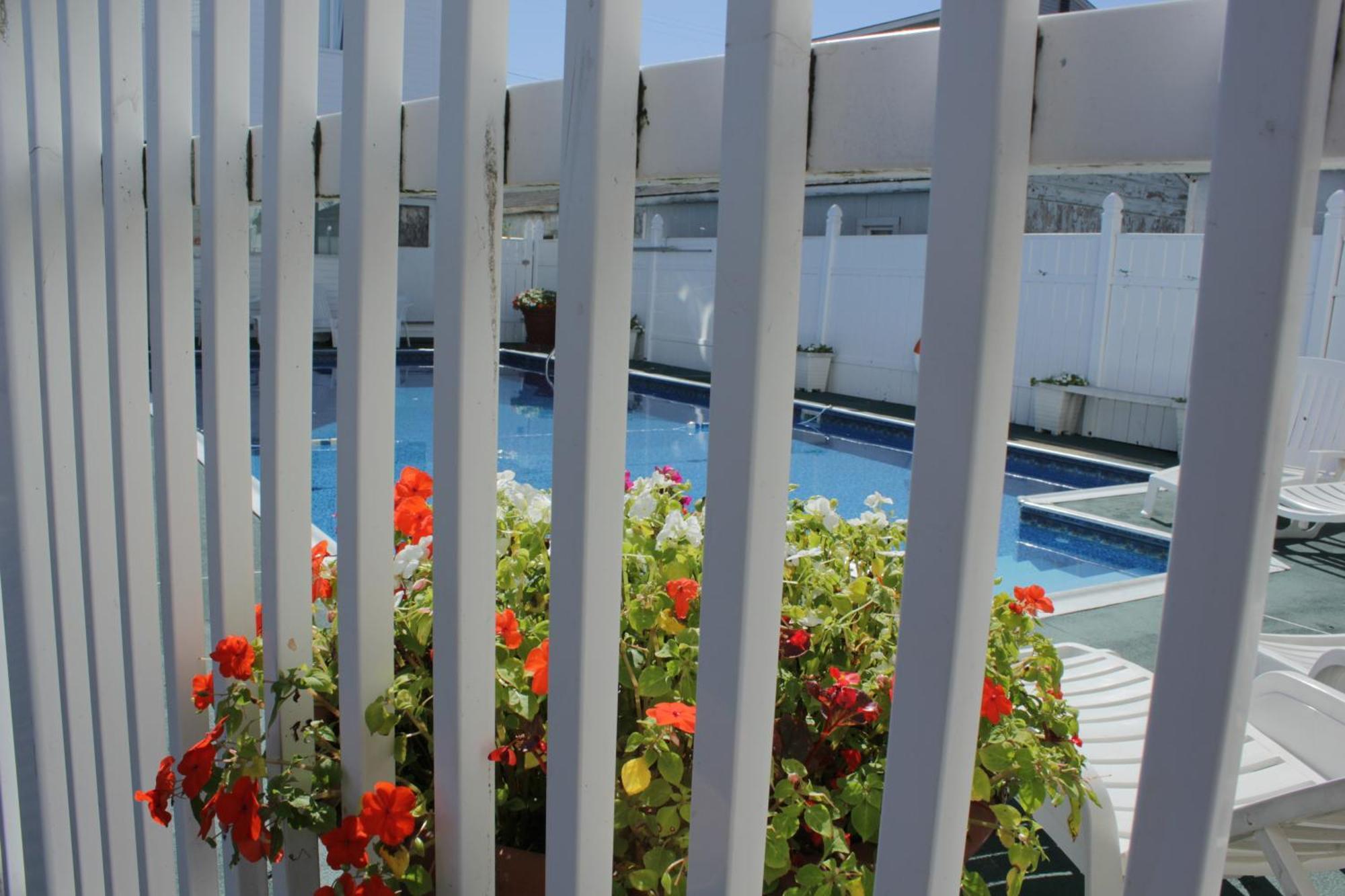 Flagship Motorcourt Motel Hampton Dış mekan fotoğraf