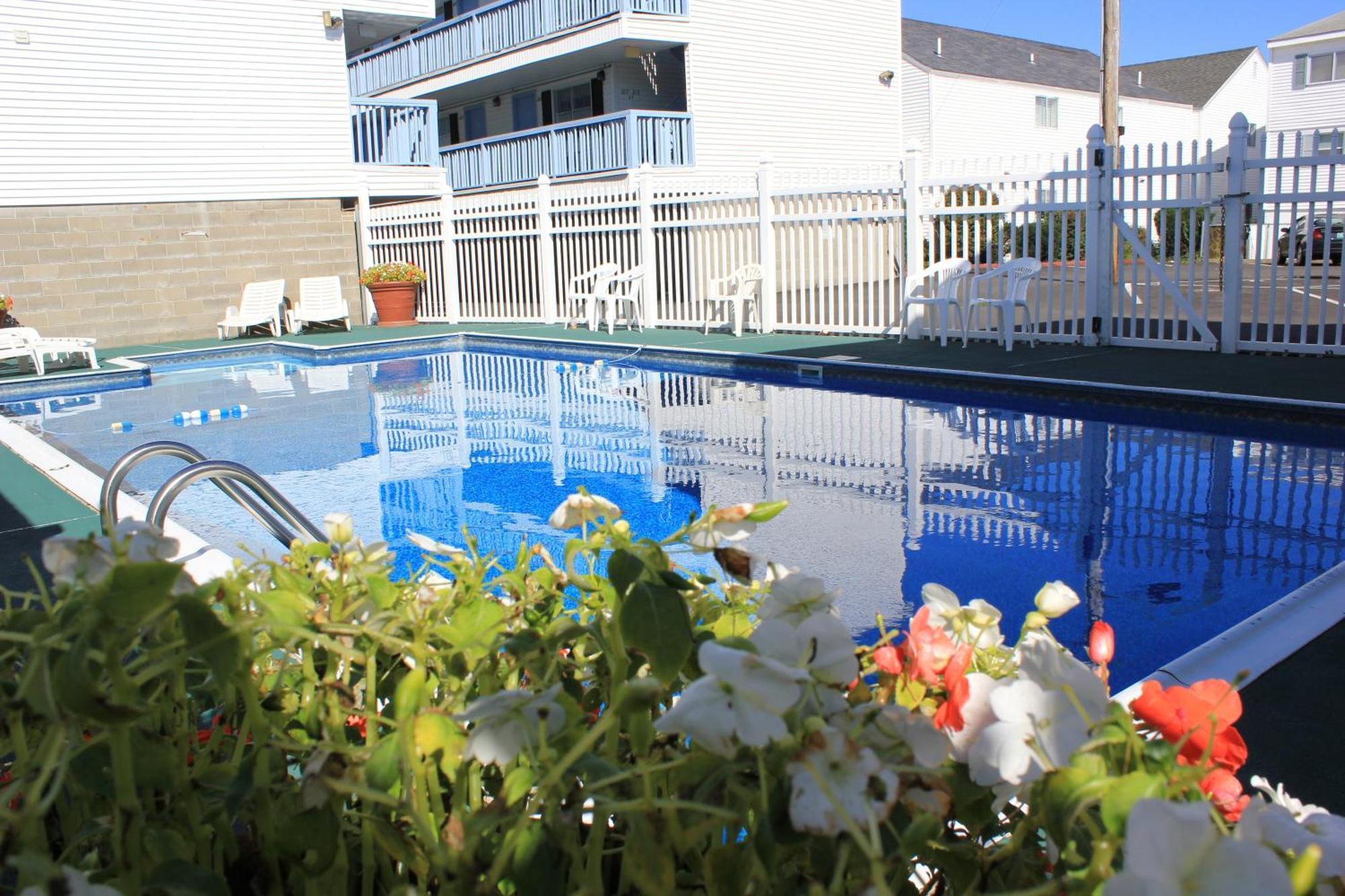Flagship Motorcourt Motel Hampton Dış mekan fotoğraf